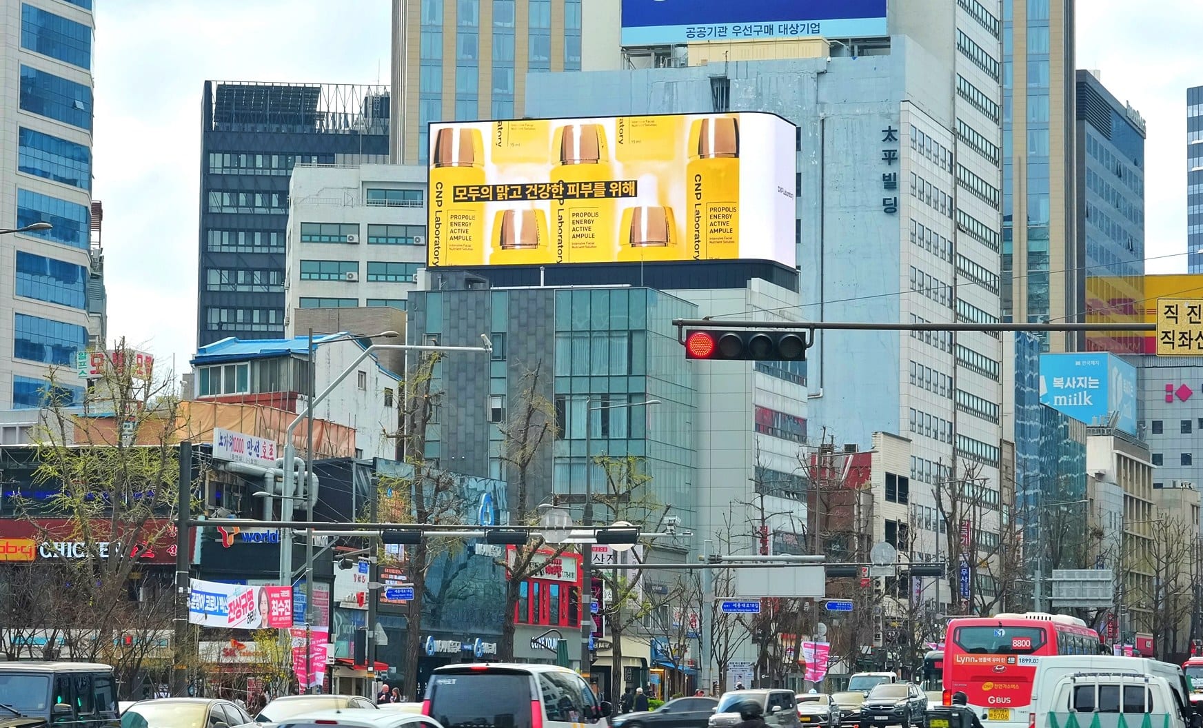 시청 디조빌딩 갤러리 5