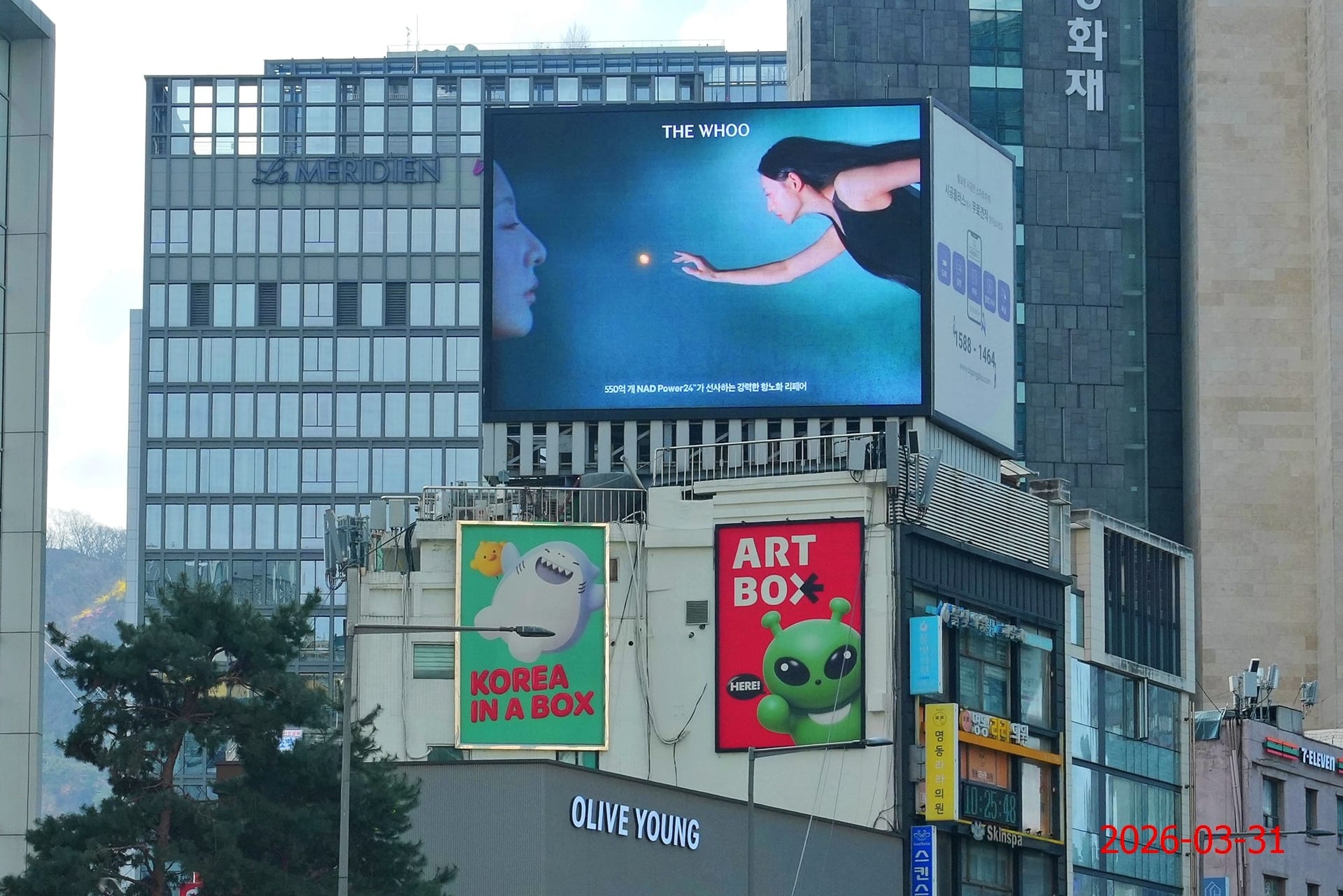 명동 뉴욕제과 갤러리 5